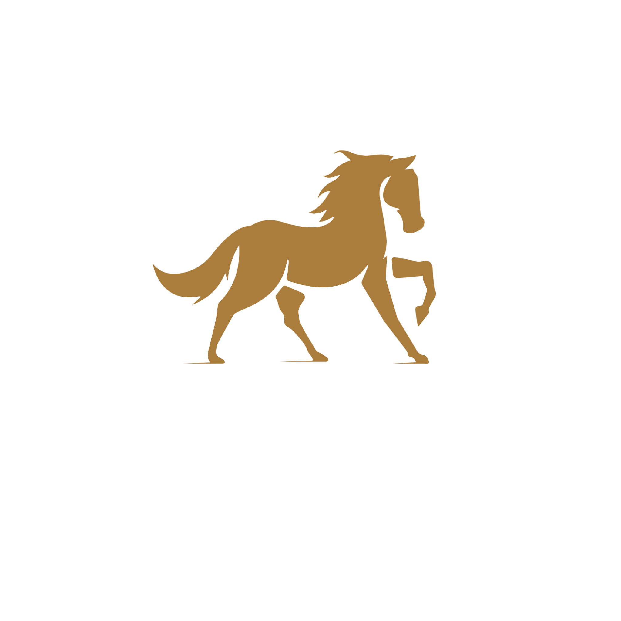 Dressage Music by Edwin Hoogsteder