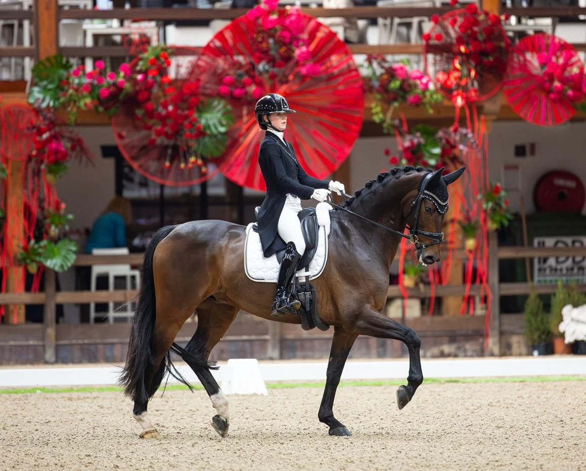 Dressage performance